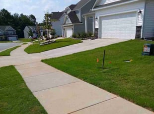 Moza M.'s Lawn Maintenance service result