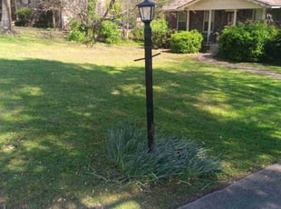 Bethany S.'s Lawn Mowing Service service result