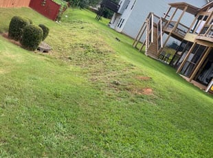 Cleanups by Jonathan Clark for Ishaan B. in Lawrenceville, GA