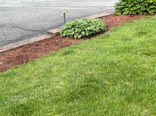 Weeding by David Haberthur for Gladys S. in Sussex, NJ