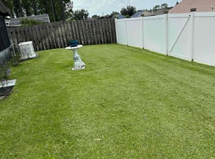 Benjamin P.'s Lawn Mowing Service service result