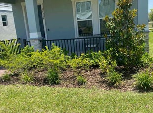Weeding by Santos Benites for Ashley G. in Winter Garden, FL