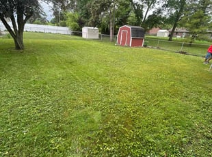 Cleanups by Kyle Yacko for MICHAEL H. in Warren, MI