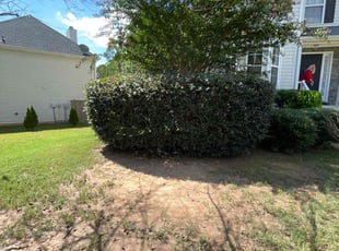 Bush Trimming by John Dollar for Inneke E. in Dallas, GA