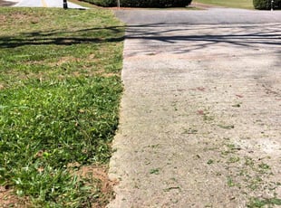 Dana C.'s Lawn Care service result
