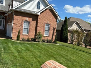 LaShonda R.'s Grass Cutting service result