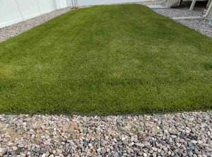 Deo M.'s Lawn Care service result