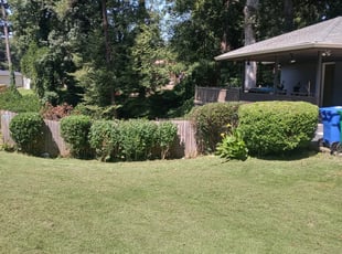 Bush Trimming by Antavious Douglas for Callie M. in Decatur, GA