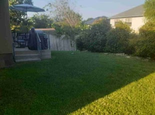 Steve G.'s Lawn Mowing service result