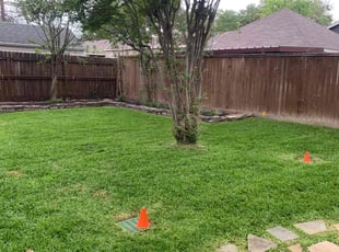 Sandi B.'s Lawn Service service result