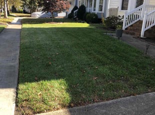Leaf Removal by John Morrisroe for TERRIAN H. in Virginia Beach, VA