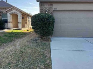 Bush Trimming by Rene Gabriel Ramirez for Najee L. in Austin, TX