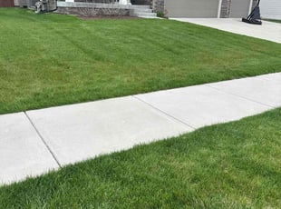 Frank D.'s Lawn Maintenance service result