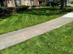 Scarlene A.'s Lawn Care service result