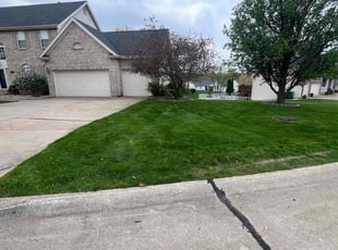 Tim D.'s Lawn Mowing Service service result