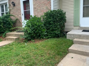 Bush Trimming by Cristian Ramirez for Capri C. in Aspen Hill, MD