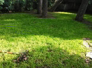 Leaf Removal by Jason Salazar for Jacob M. in San Antonio, TX