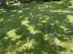 Charles L.'s Lawn Care service result