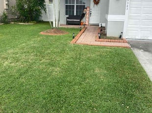 Israel C.'s Lawn Care service result