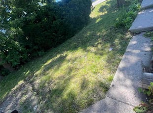 Kyle T.'s Lawn Mowing service result