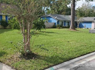 Steve S.'s Yard Cutting service result