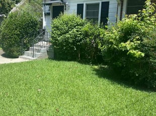 Bush Trimming by David Smith for George A. in Atlanta, GA