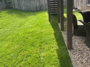 Emmett W.'s Lawn Mowing service result