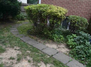Bush Trimming by Tyrone Wilkins for Brooke D. in Takoma Park, MD