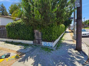 Bush Trimming by Jose Martinez for Bo H. in Los Angeles, CA