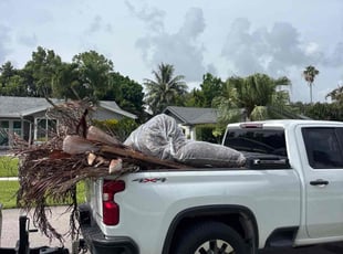 Cleanups by Samuel White for Giovanna M. in Wellington, FL