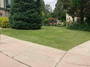 Charles W.'s Lawn Mowing service result