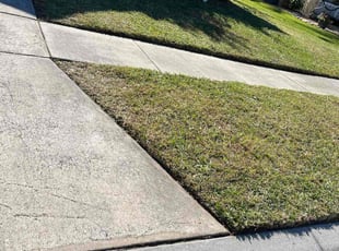 Timothy J.'s Lawn Mowing Service service result