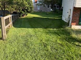 Matt K.'s Lawn Care service result