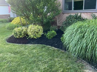 Mulching by Neal Ferris for Lisa C. in Buffalo, NY