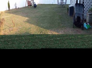 Bryant V.'s Grass Cutting service result