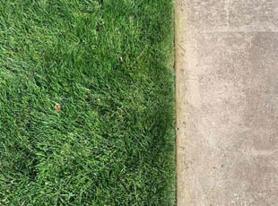 Bridget K.'s Lawn Service service result