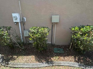 Bush Trimming by Ramon Taguja for Chelsea T. in Valrico, FL