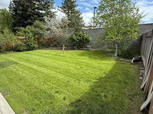 Rita B.'s Lawn Service service result