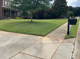 Rob G.'s Lawn Service service result