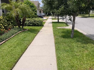 Constance M.'s Lawn Mowing service result