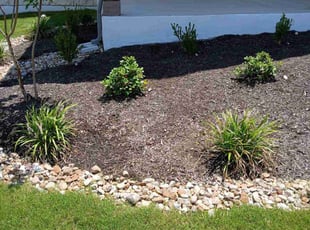 Weeding by Martin Mata for Dan S. in Dripping Springs, TX
