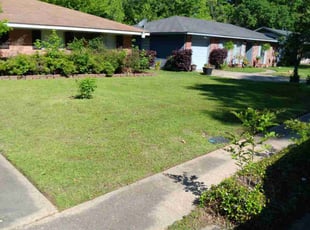 Yvonne H.'s Lawn Service service result
