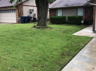 Bush Trimming by Paul Handley for Brock B. in Tulsa, OK