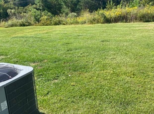 Amber G.'s Yard Cutting service result