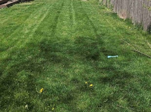 Mara S.'s Lawn Care service result