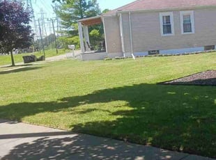 Terri C.'s Lawn Mowing service result