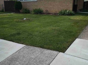 Demi h.'s Yard Cutting service result