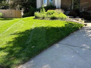 Dowayne P.'s Lawn Mowing service result