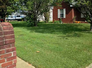 Selina G.'s Lawn Mowing service result