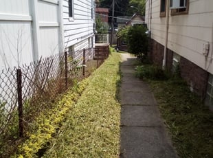Cleanups by Bob Gilbert for Andrew D. in Pittsburgh, PA
